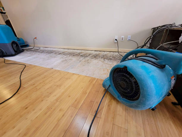 Professional Water Removal technician working in Harrison, NJ